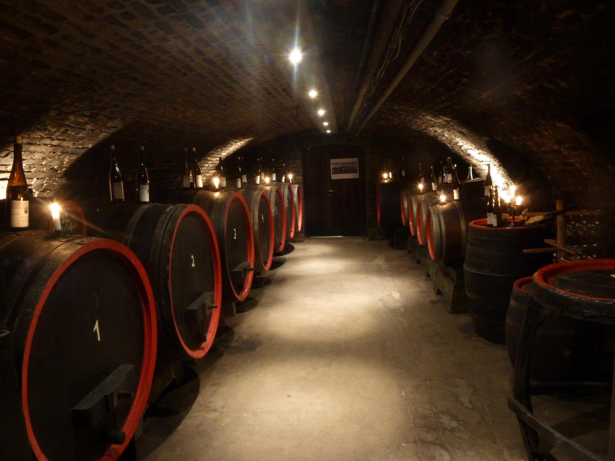 Gasthaus Weingut Stahl Обервезель Экстерьер фото