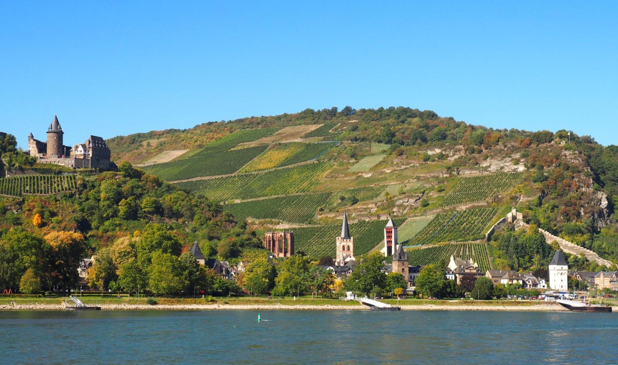 Gasthaus Weingut Stahl Обервезель Экстерьер фото