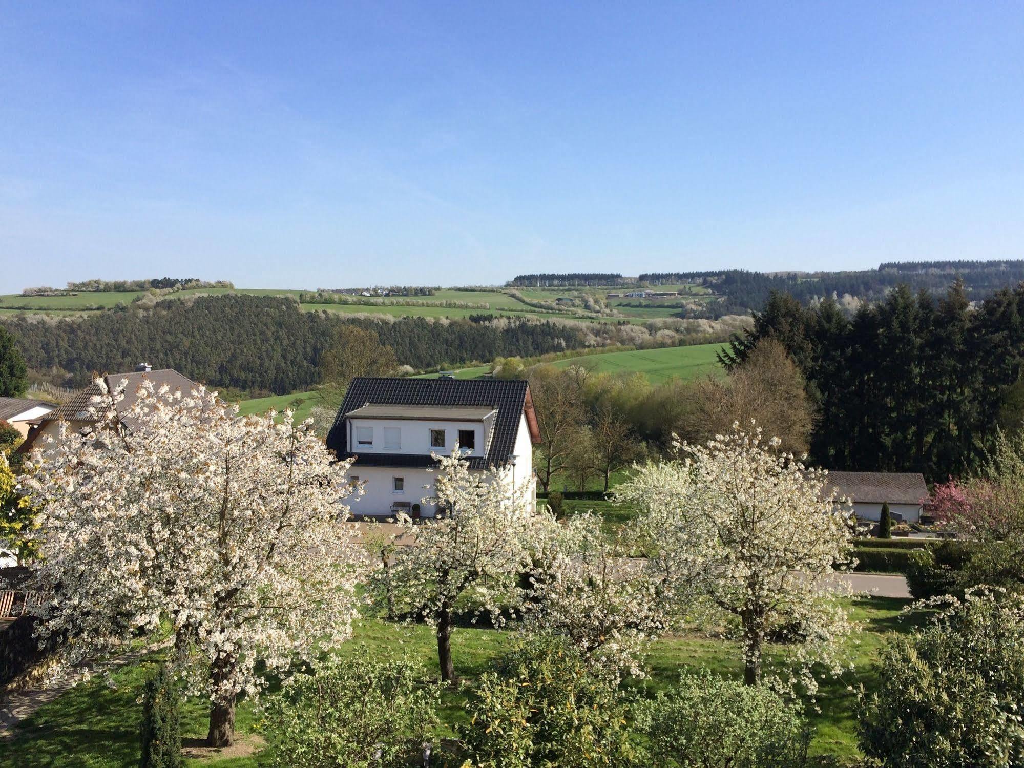Gasthaus Weingut Stahl Обервезель Экстерьер фото